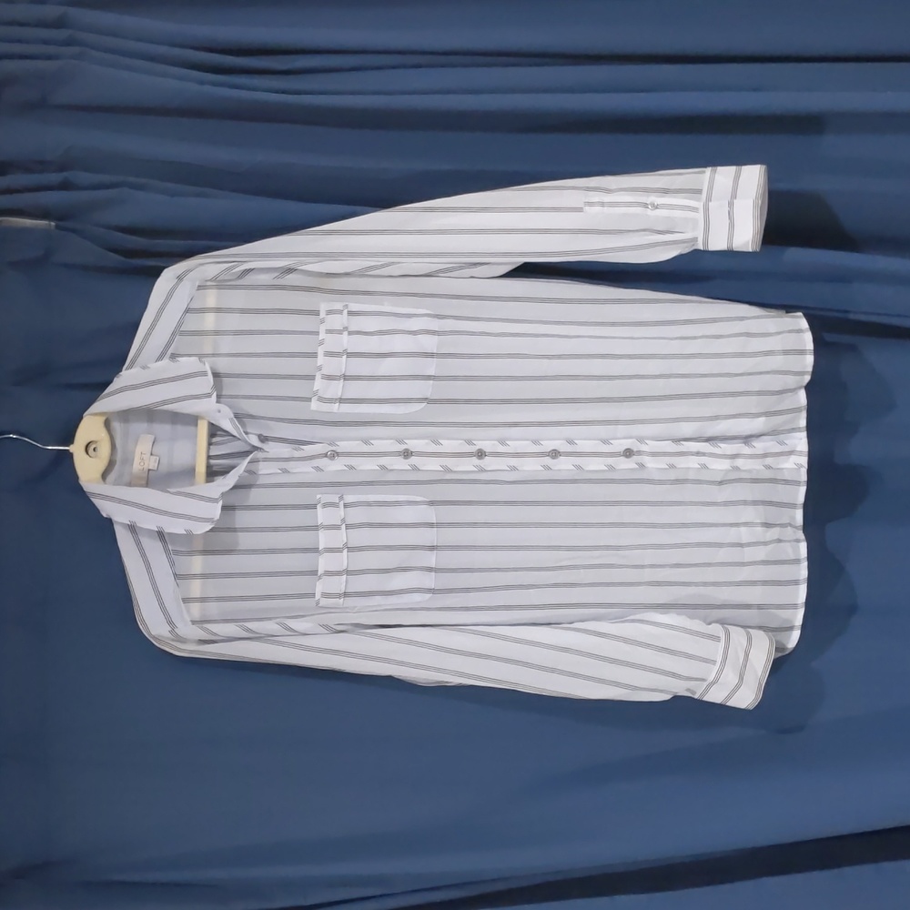 LOFT Shear Blouse